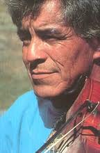lawrence houle